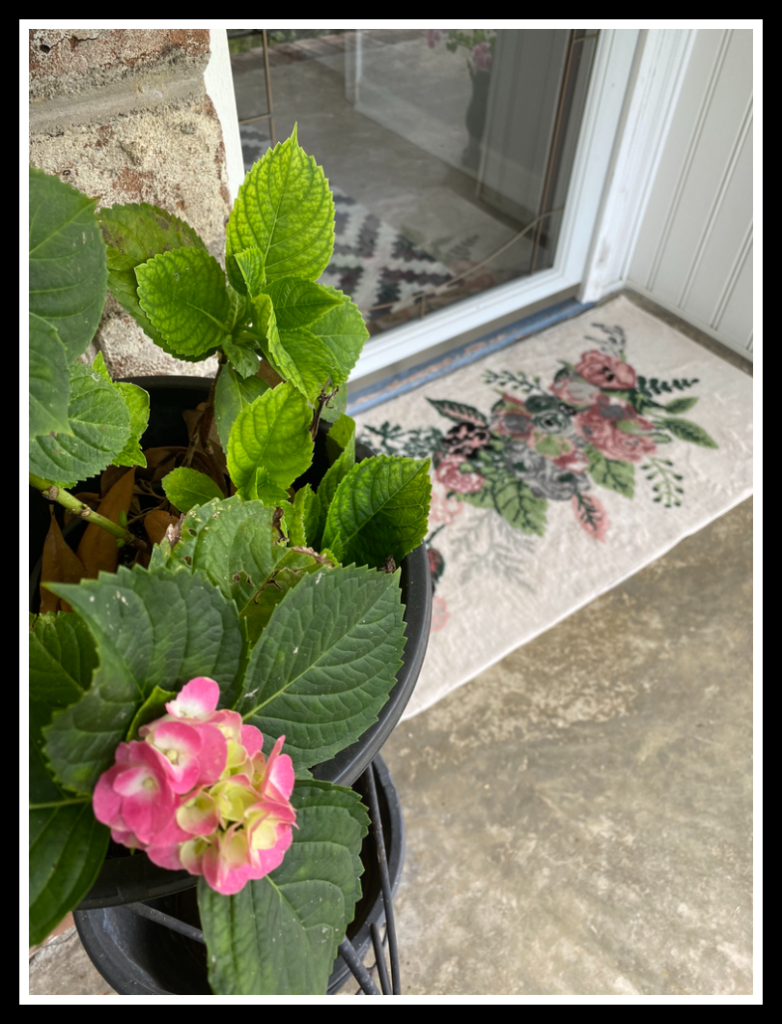 Pink hydrangea on inviting front porch