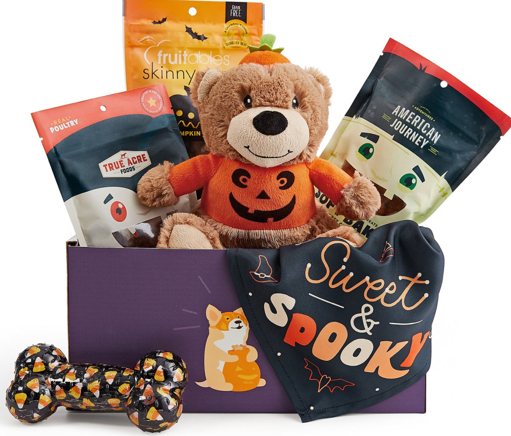 Halloween Pet Gift Box with Toys, bandana and treats
