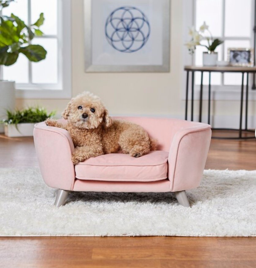 Beautiful Pink Velvet Puppy Dog Bed with Sweet Beige Curly Haired Dog Laying On It