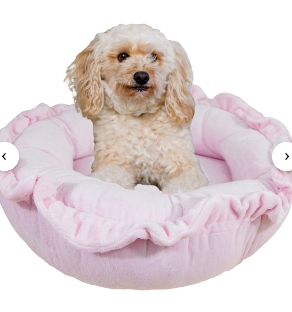 Sweet Little Pink Puppy Dog Bed with Blonde Curly Haired Dog In It