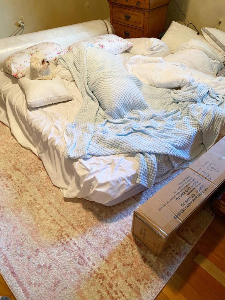 Mattress on floor with messy blankets with white fluffy dog on pillow on way to master bedroom refresh