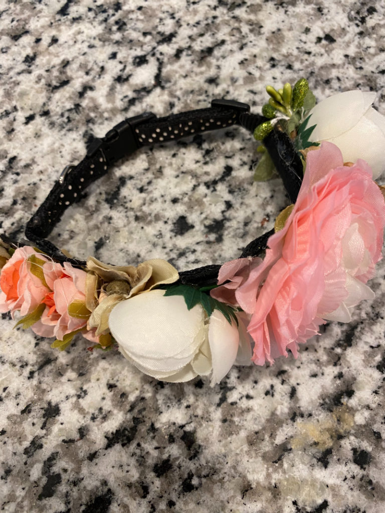 Diy floral dog collar completed