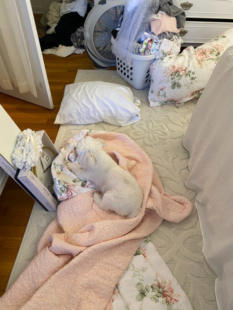 Dolli on pink floral quilt in mess before final reveal of One Room challenge Makeover
