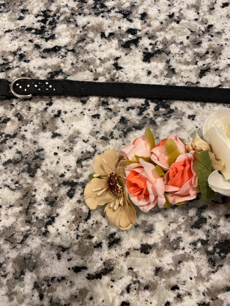 black dog collar and pink, white and beige flowers and green leaves