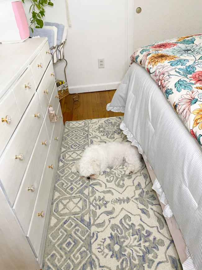 Dolli - fluffy white dog on new rug
