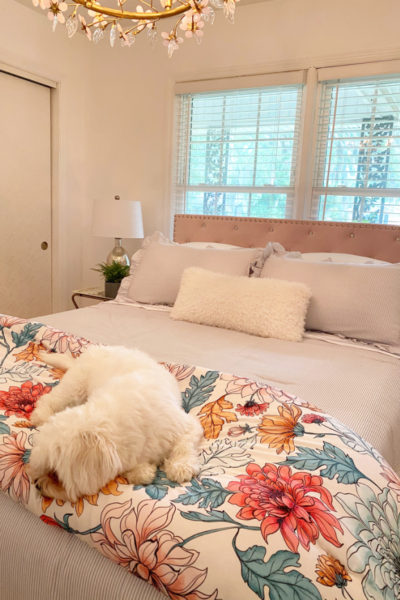 Little fluffy white dog on floral quilt in quest room