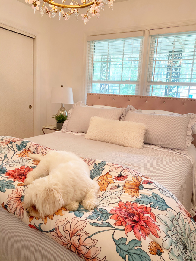 fluffy quilt with fluffy white dog on guest room bed 