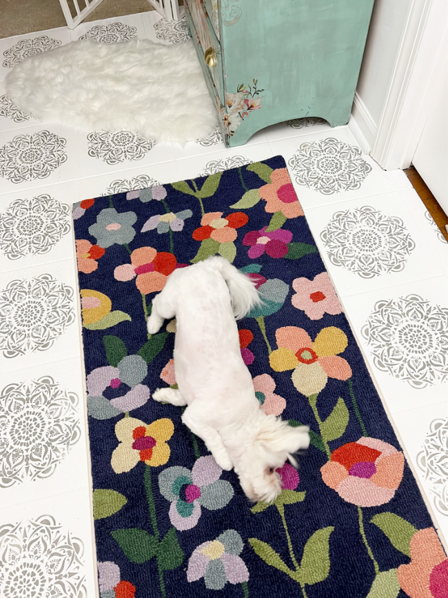 colorful rug in foyer with fluffy white dog Dolli on it